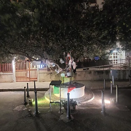 L'ulivo-casa Tua A Palermo, A Due Passi Dal Centro